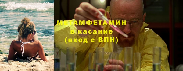 прущие грибы Каменск-Шахтинский