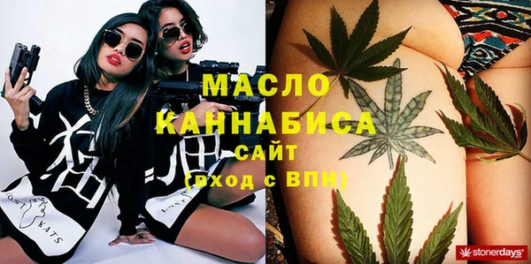 тгк Каменка
