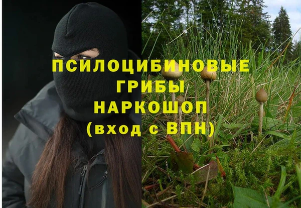 тгк Каменка