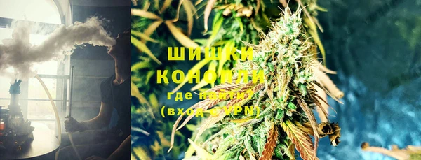 мет Инта