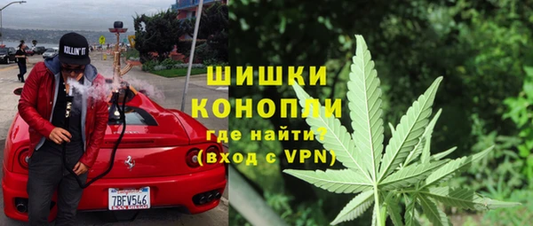 прущие грибы Каменск-Шахтинский