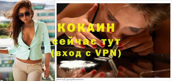 соль ск Кинешма