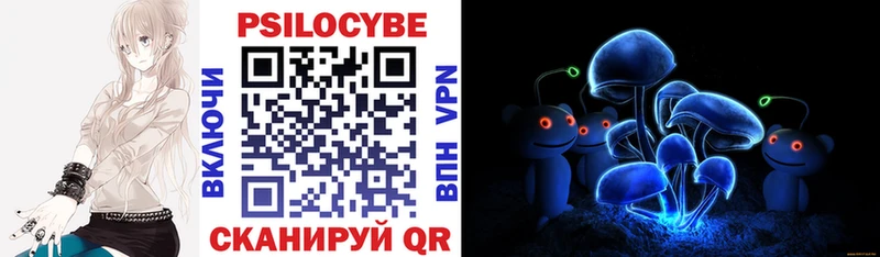 сколько стоит  Олонец  Галлюциногенные грибы Psilocybine cubensis 
